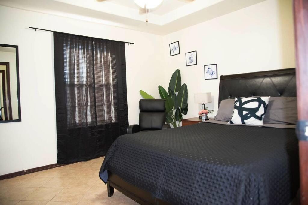 1 Min To University Utrgv 2Bd 2Bt Town Suite Edinburg Ngoại thất bức ảnh